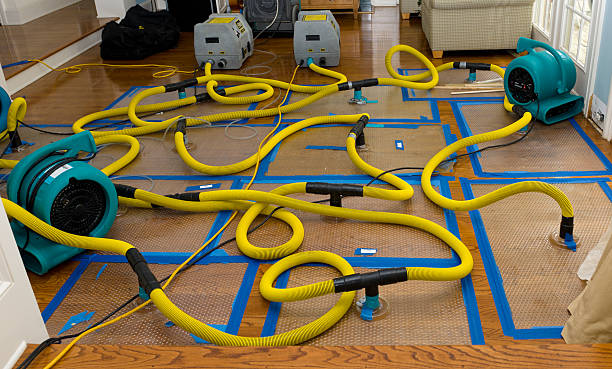 Professional Sewage Cleanup technician working in Washburn, ND